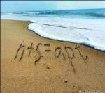noureddine_doldol